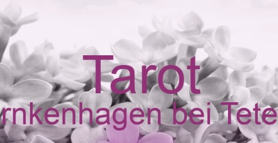 Tarot Warnkenhagen bei Teterow | Top-Experten für Kartenlegen, Wahrsagen, Hellsehen, Zukunftsdeutung. Tarot Warnkenhagen bei Teterow | Top-Experten für Kartenlegen, Wahrsagen, Hellsehen, Zukunftsdeutung.
